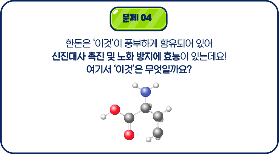 문제04 한돈은 '이것'이 풍부하게 함유되어 있어 신진대사 촉진 및 노화 방지에 효능이 있는데요! 여기서 '이것'은 무엇일까요?